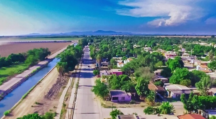 Restaurarán 12 sitios naturales en Sonora: conoce las
áreas y el impacto ambiental